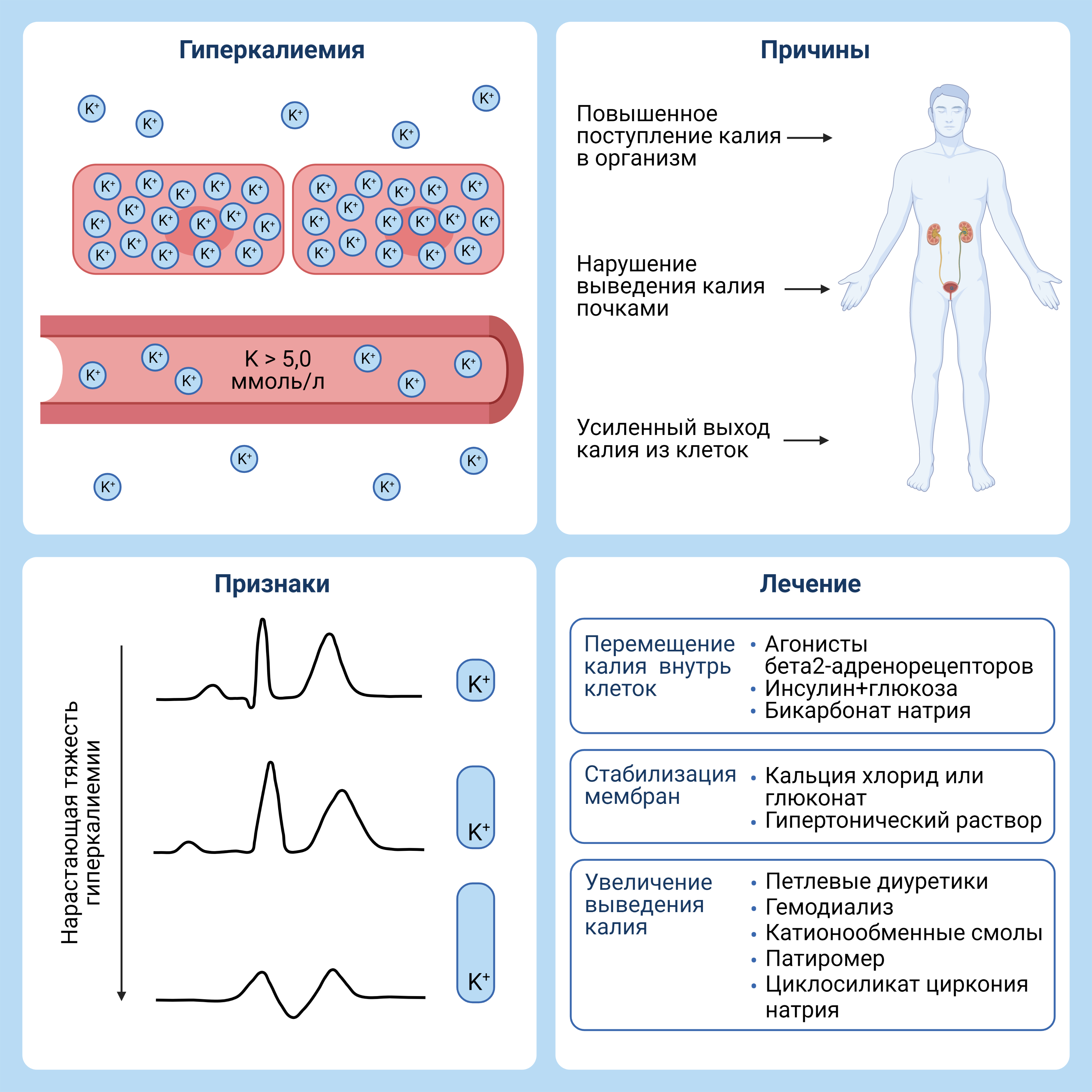 Гиперкалиемия что. Причины гиперкалиемии. Клинические симптомы гиперкалиемии. Гиперкалиемия вызывает. Гиперкалиемия симптомы причины.