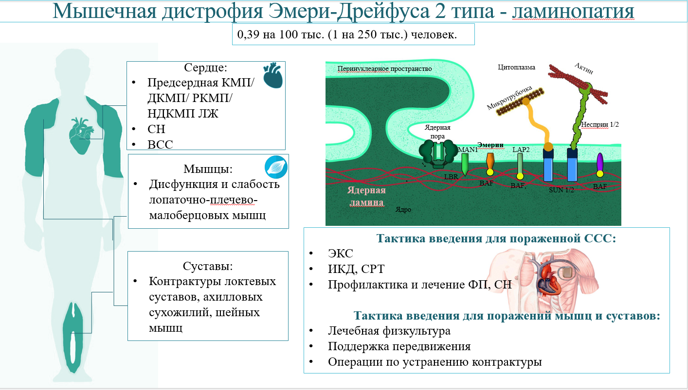 Изображение на обложке
